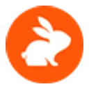 CodeRabbit CodeRabbit Logo